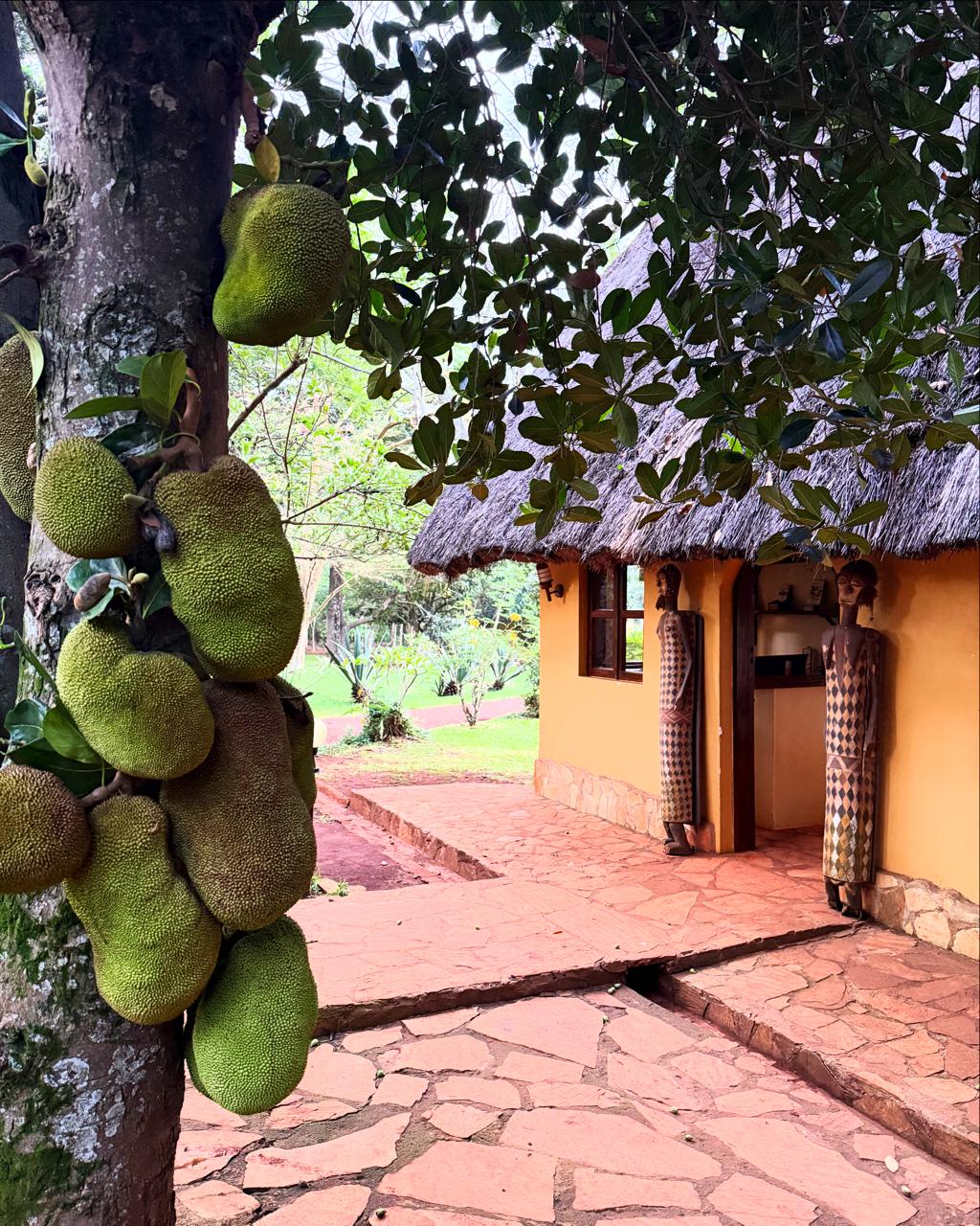 WhatsApp Image 2026-02-18 at 8.24.54 AM (4)